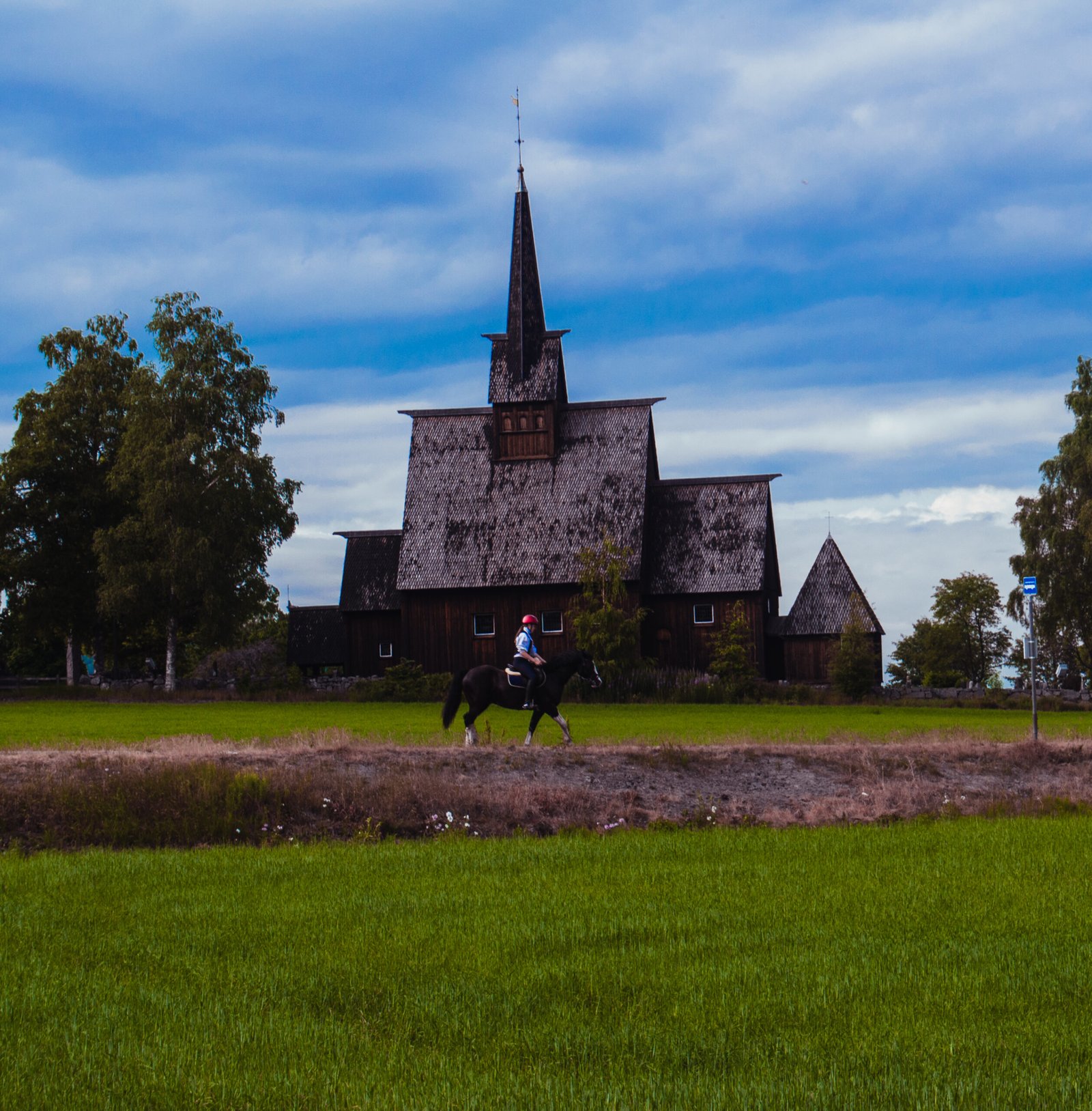 NorwayWEB_AlbertMulet (113)