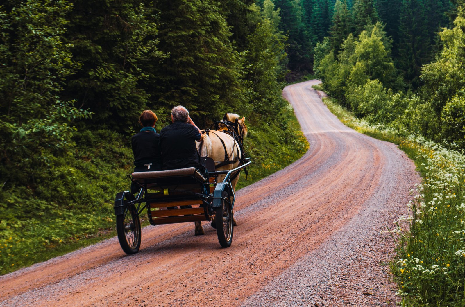 NorwayWEB_AlbertMulet (118)